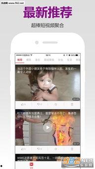 日日鲁手机在线视频,畅享海量精彩内容，轻松娱乐生活