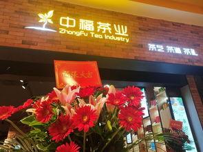 东莞中福在线视频