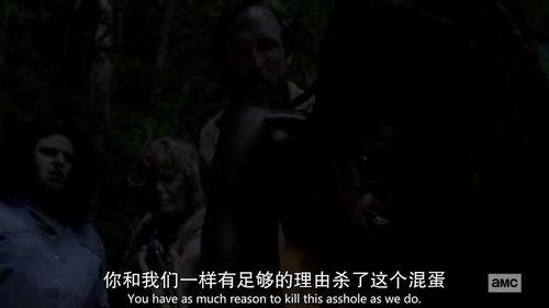 行尸走肉第十季在线视频,末世重生，人性挣扎的终极篇章