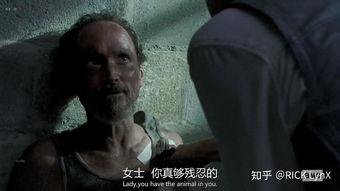 行尸走肉第十季在线视频,末世重生，人性挣扎的终极篇章