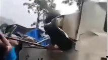 国产醉酒在线视频,揭秘酒文化魅力与社交现象