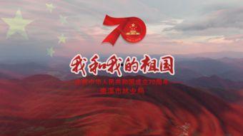 我和我祖国在线视频,我与祖国同频共振